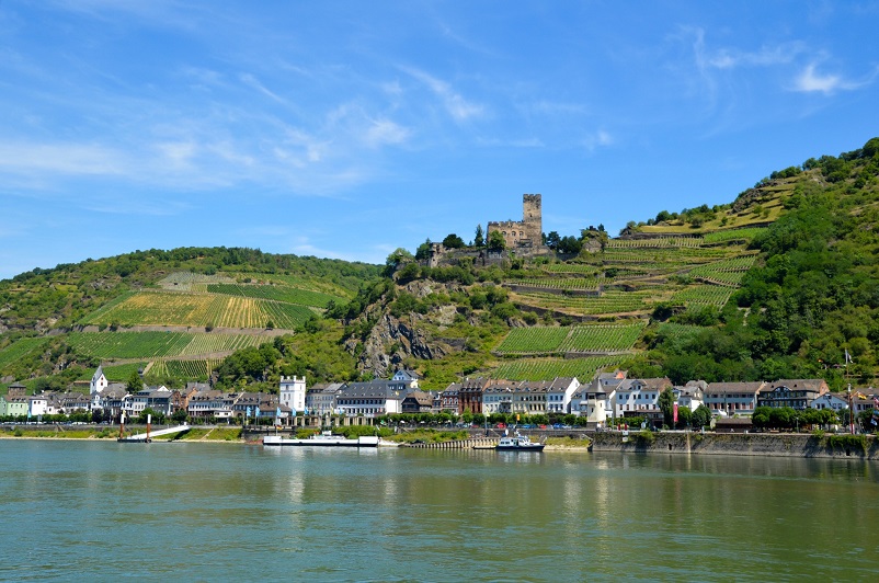 Castle perched on a green stepped hill - as seen from a Rhine River cruise in Germany