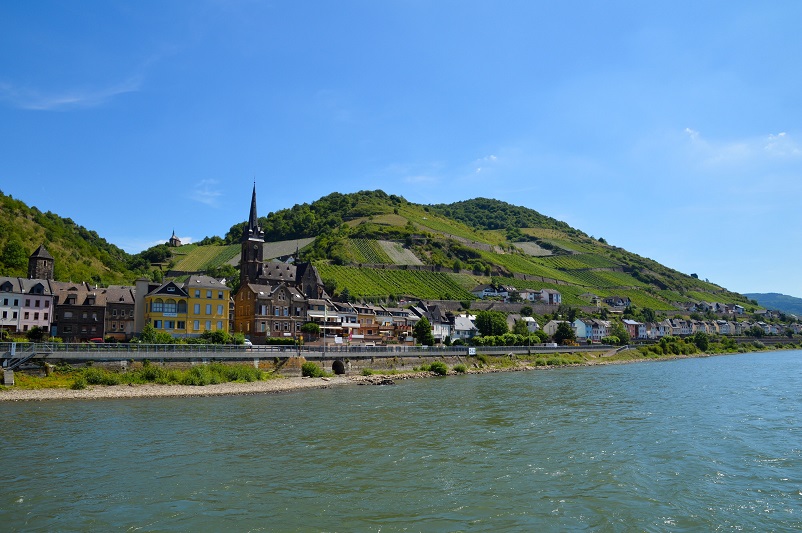 Colorful buildings and a green hill on a river, as seen from a Rhine River cruise in Germany
