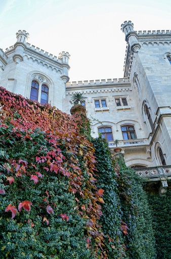Colorful foliage growing on Miramare Castle - Trieste, Italy