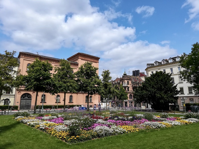 Small garden of colorful flowers in Wiesbaden