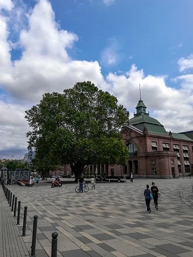 Tree in front of Wiesbaden Hbf
