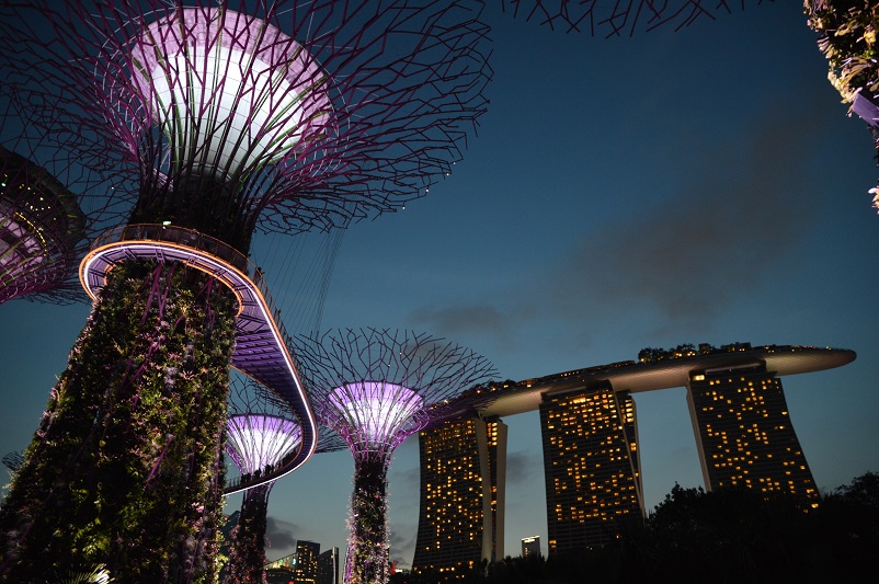Lit up supertrees at night at Gardens by the Bay in Singapore