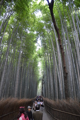 People walking in the Arashiyama Bamboo Forest, one of the top Kyoto attractions