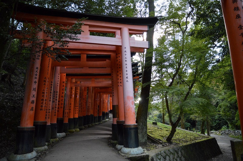 Orange torii gates in the forest at Fushimi Inari-taisha, one of the top things to do in Kyoto