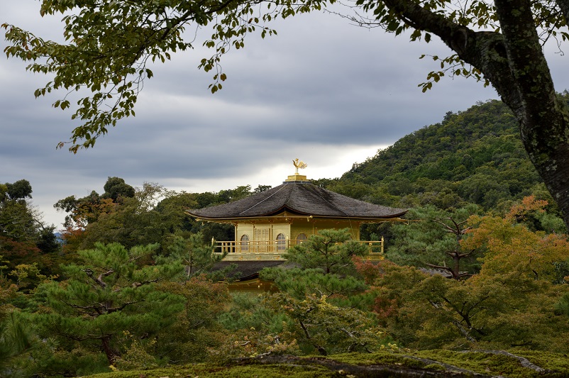 The top of the Golden Pavilion in Kyoto peeking through the trees
