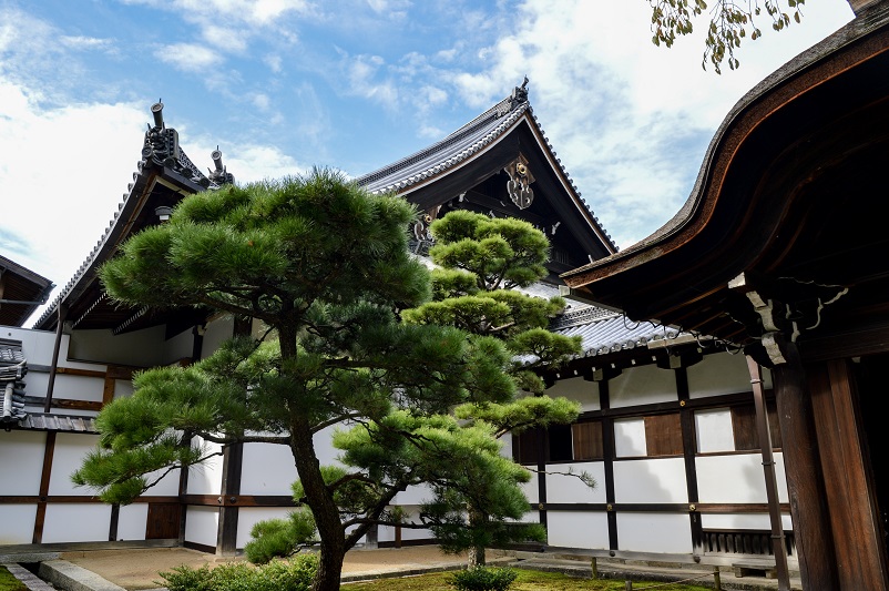 Bonzai tree in front of buildings at Hojo Garden in Kyoto