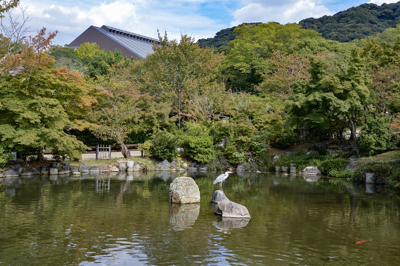 A stork sitting on a rock in the middle of a pond in Maruyama Park in Kyoto