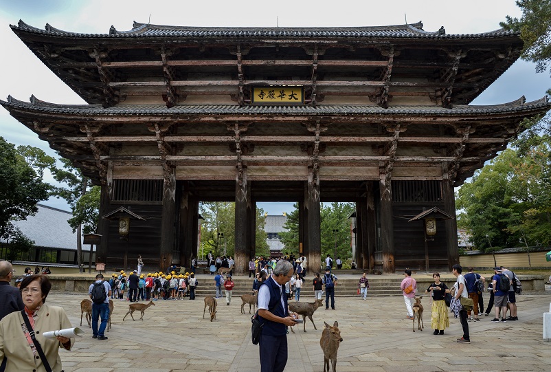 Deer and people in front of an entrance gate to the Tōdai-ji temple which we visited on our Nara day trip