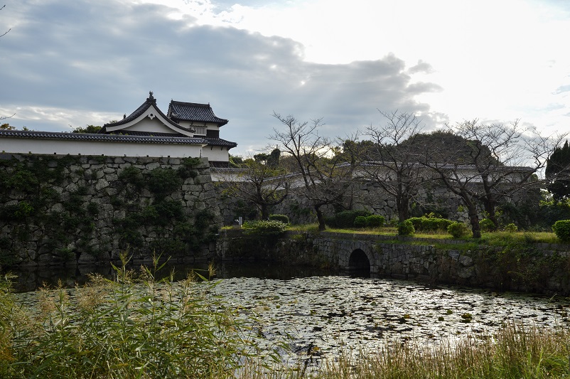 Castle peeking out behind a small pond in Fukuoka
