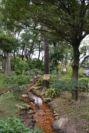 Orange colored stream running through a forest in Shukkei-en Garden in Hiroshima