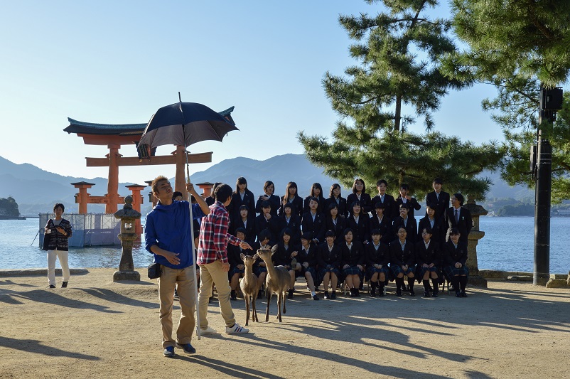 Deer wrangler on Miyajima Island leading deer into a picture with school children