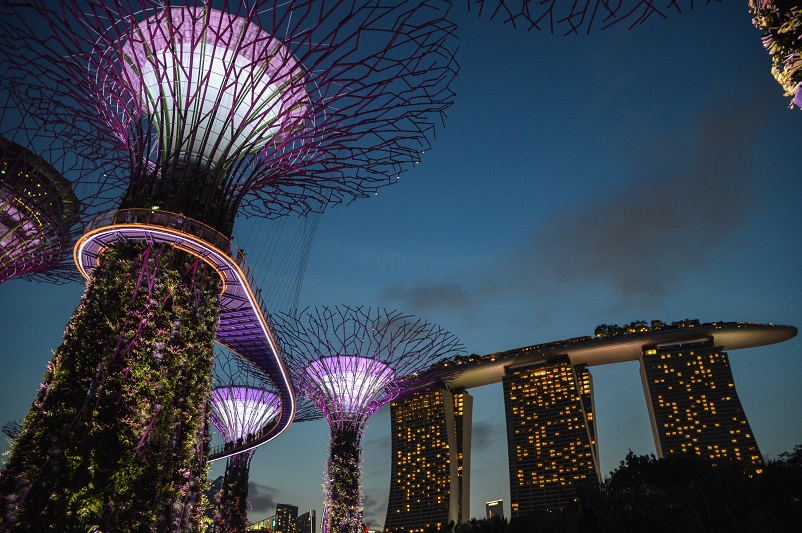 Gardens by the bay Super Trees at night in Singapore