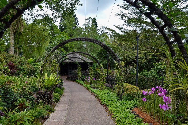 Arches over a path at the Singapore National Orchid Garden