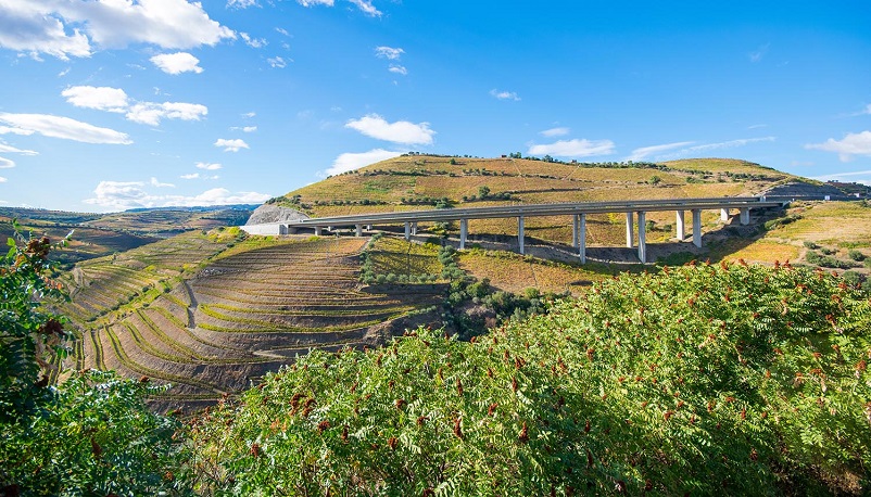 Elevated train tracks in the Douro Valley in Portugal