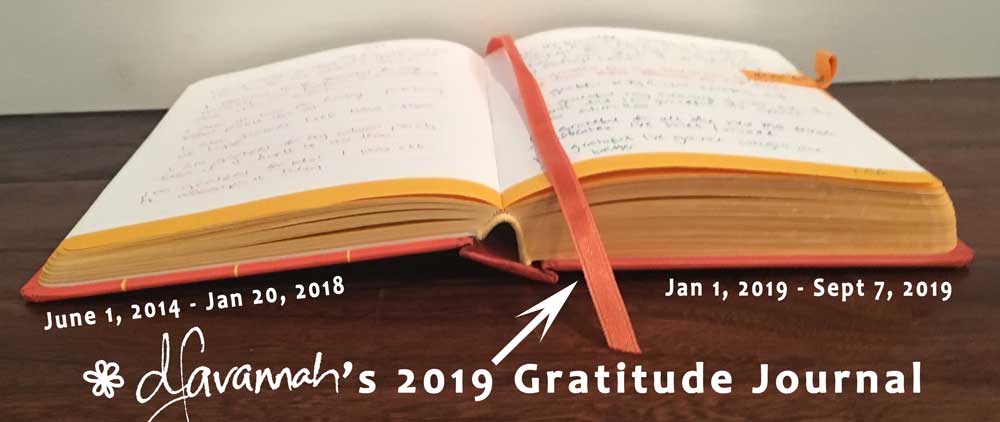 dSavannah's gratitude journal