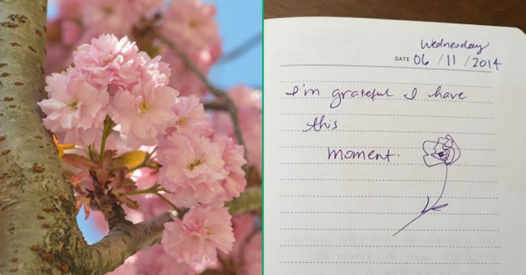 Left image: pink flowers on a tree branch; right image: hand-written words that say: I am grateful to have this moment with a hand-drawn flower
